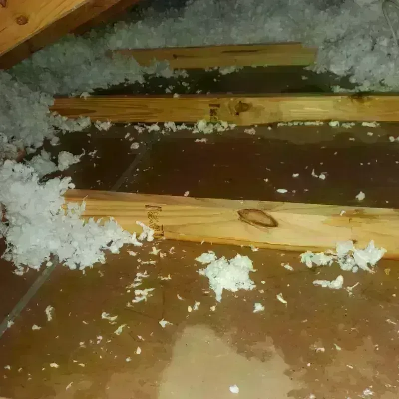 Attic Water Damage in Westminster, SC