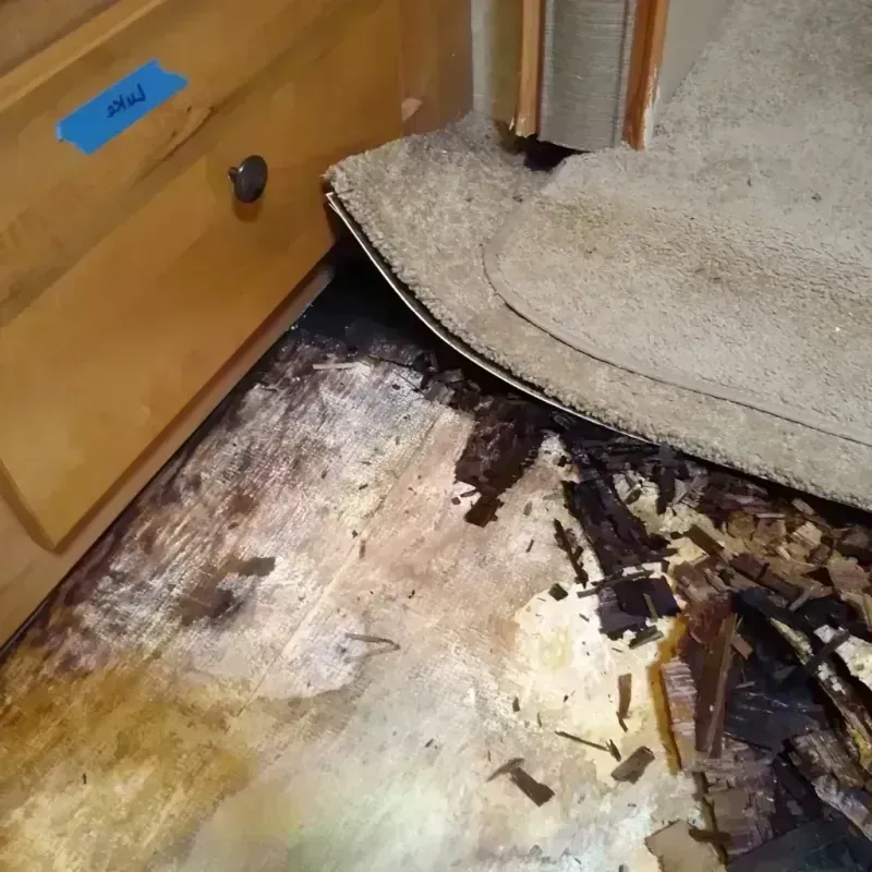 Best Wood Floor Water Damage Service in Westminster, SC